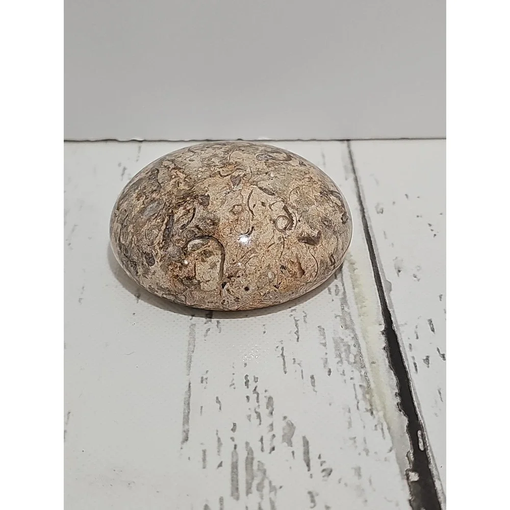 POLISHED SHELL FOSSIL PAPERWEIGHT. 3
